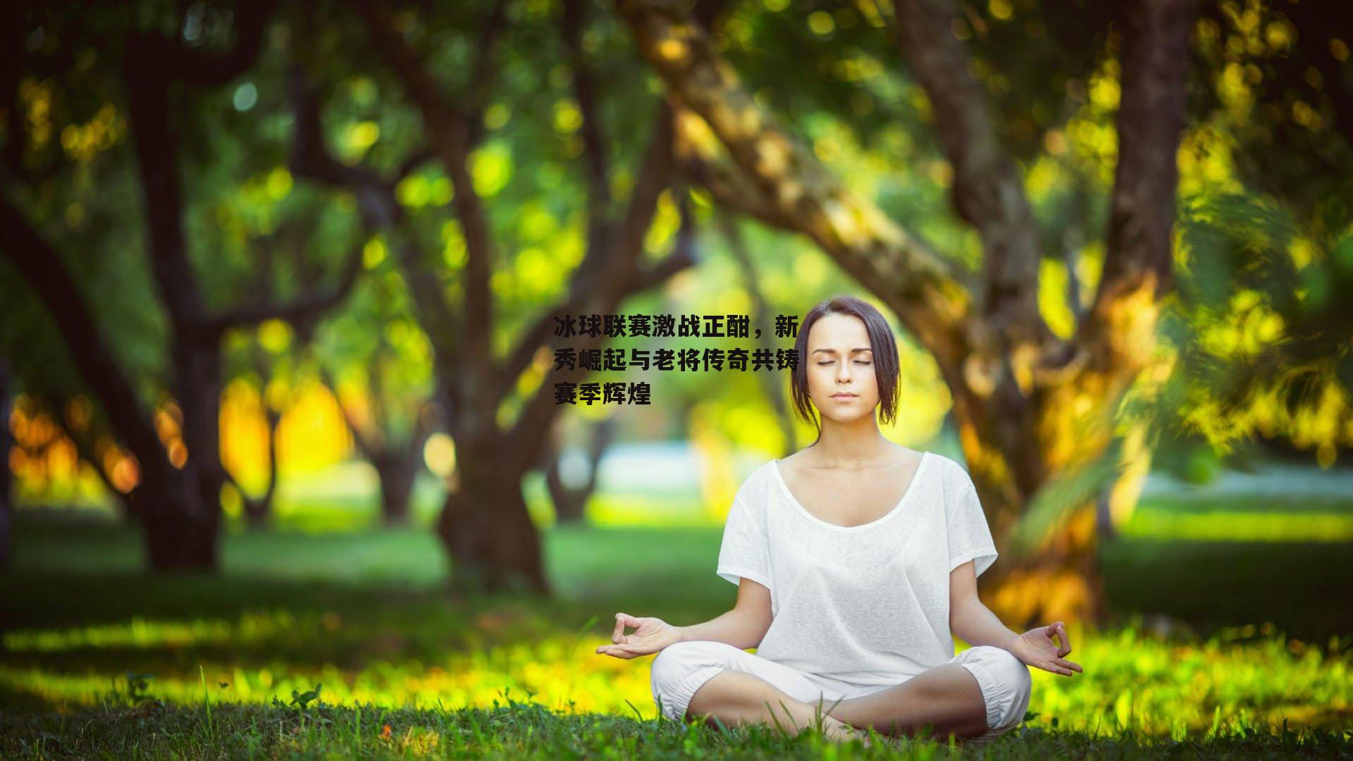 冰球联赛激战正酣，新秀崛起与老将传奇共铸赛季辉煌